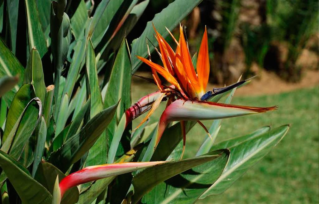 Atico De Jardines Apartment Denia Bilik gambar